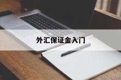 外汇保证金入门(外汇保证金怎么算)